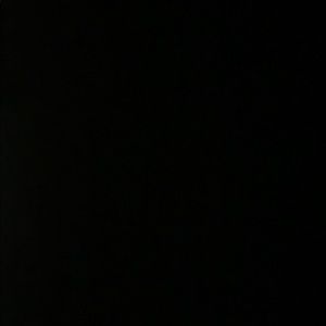 Meet your Posher, Alvin